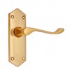 "Noah" Brass Door Handle with Plate 